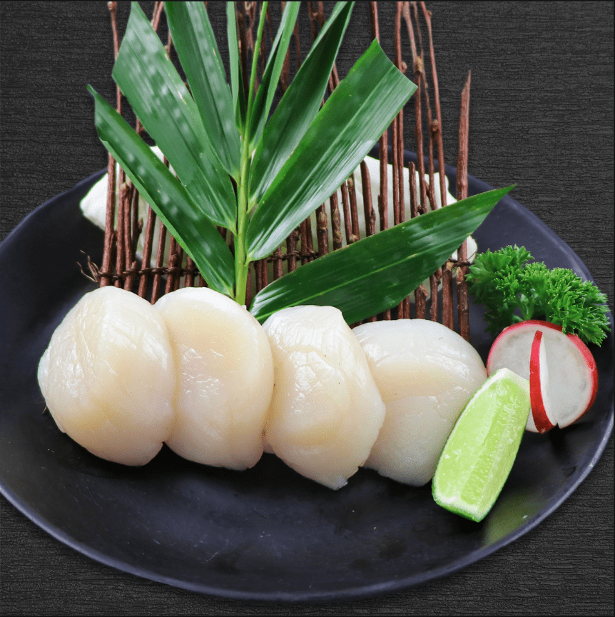 DW72-Scallop