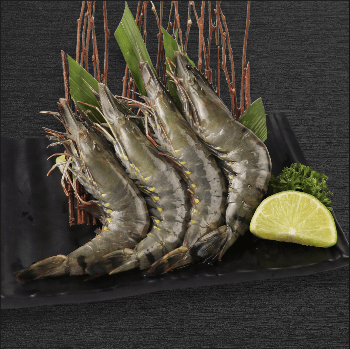 DW75-Shrimp